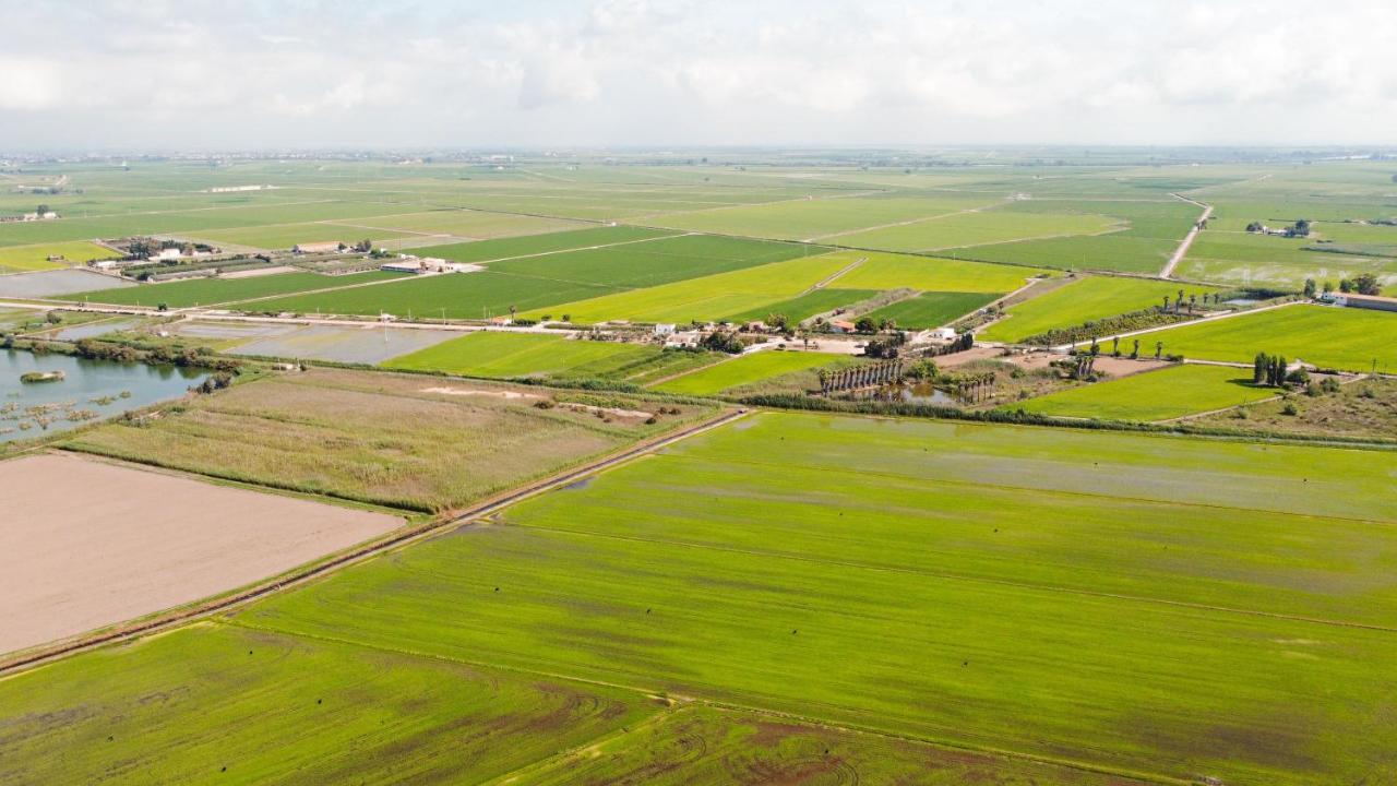 Calito Del Delta Apartment L'Eucaliptus Екстериор снимка